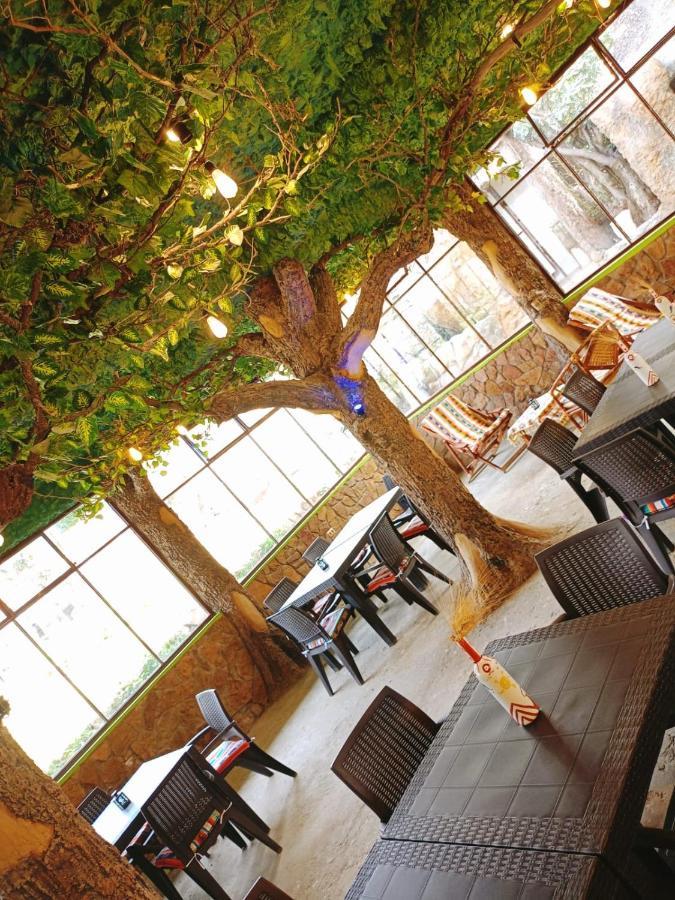 Hostal Тороторо Экстерьер фото